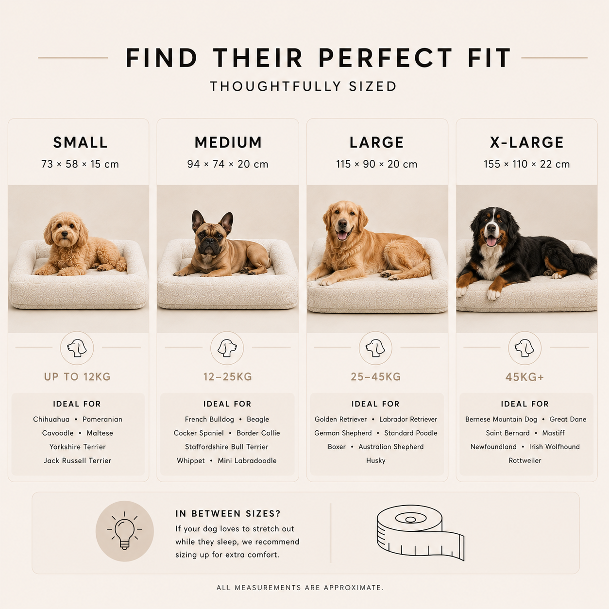 The Canine Couch