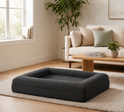 The Canine Couch